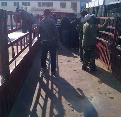 ���ɹ���ˮ��